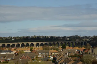 DSC_7239 (Large).JPG